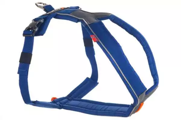 line-harness-blue-1